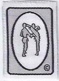 Silver Sparring badge